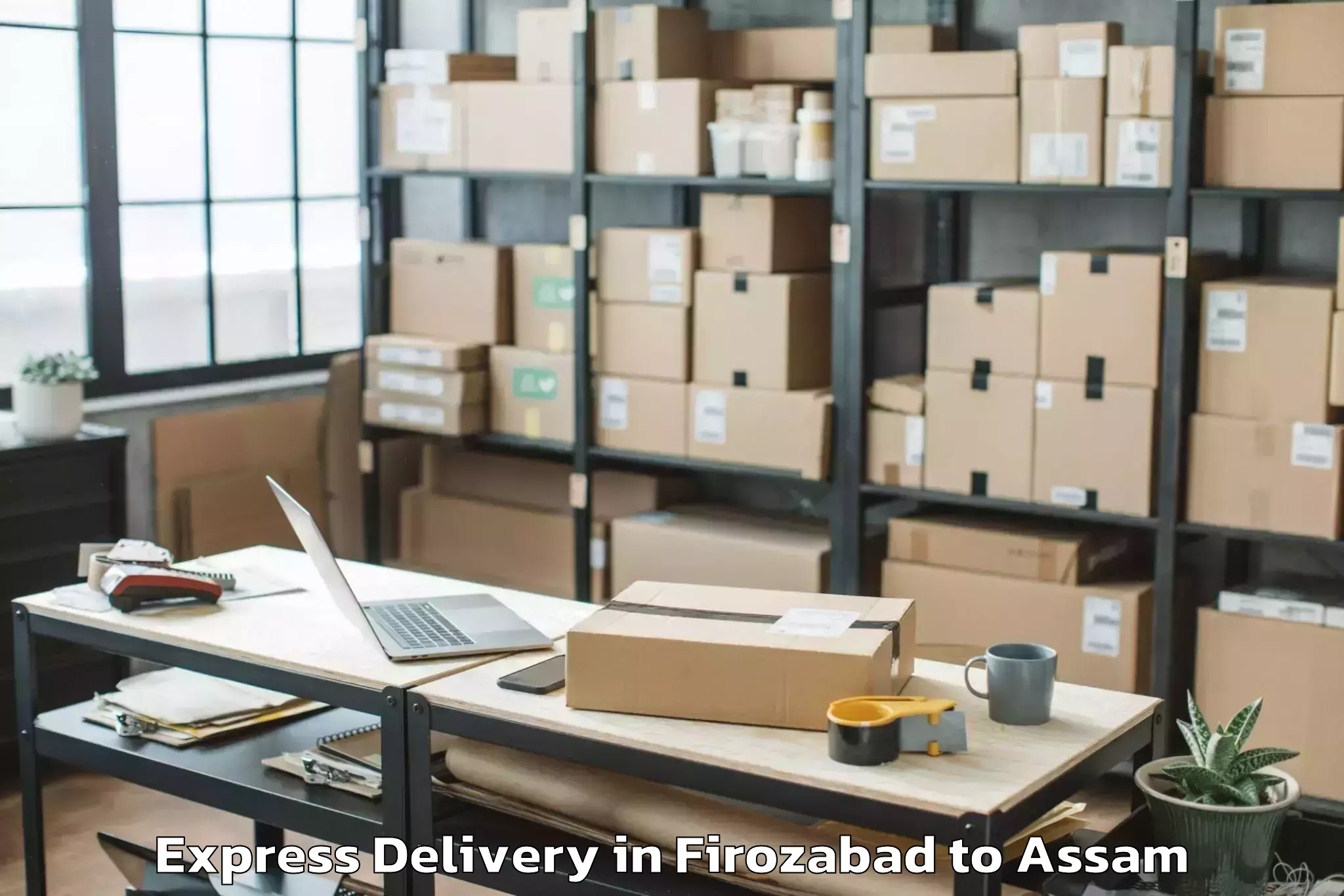 Book Firozabad to Nahorkatiya Express Delivery